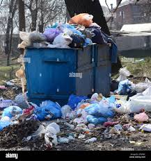 Best Dumpster Rental Services  in Rome City, IN