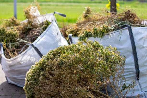 Trusted Rome City, IN Junk Removal Services Experts